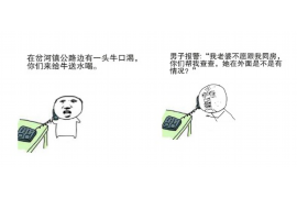 榆社专业催债公司的市场需求和前景分析